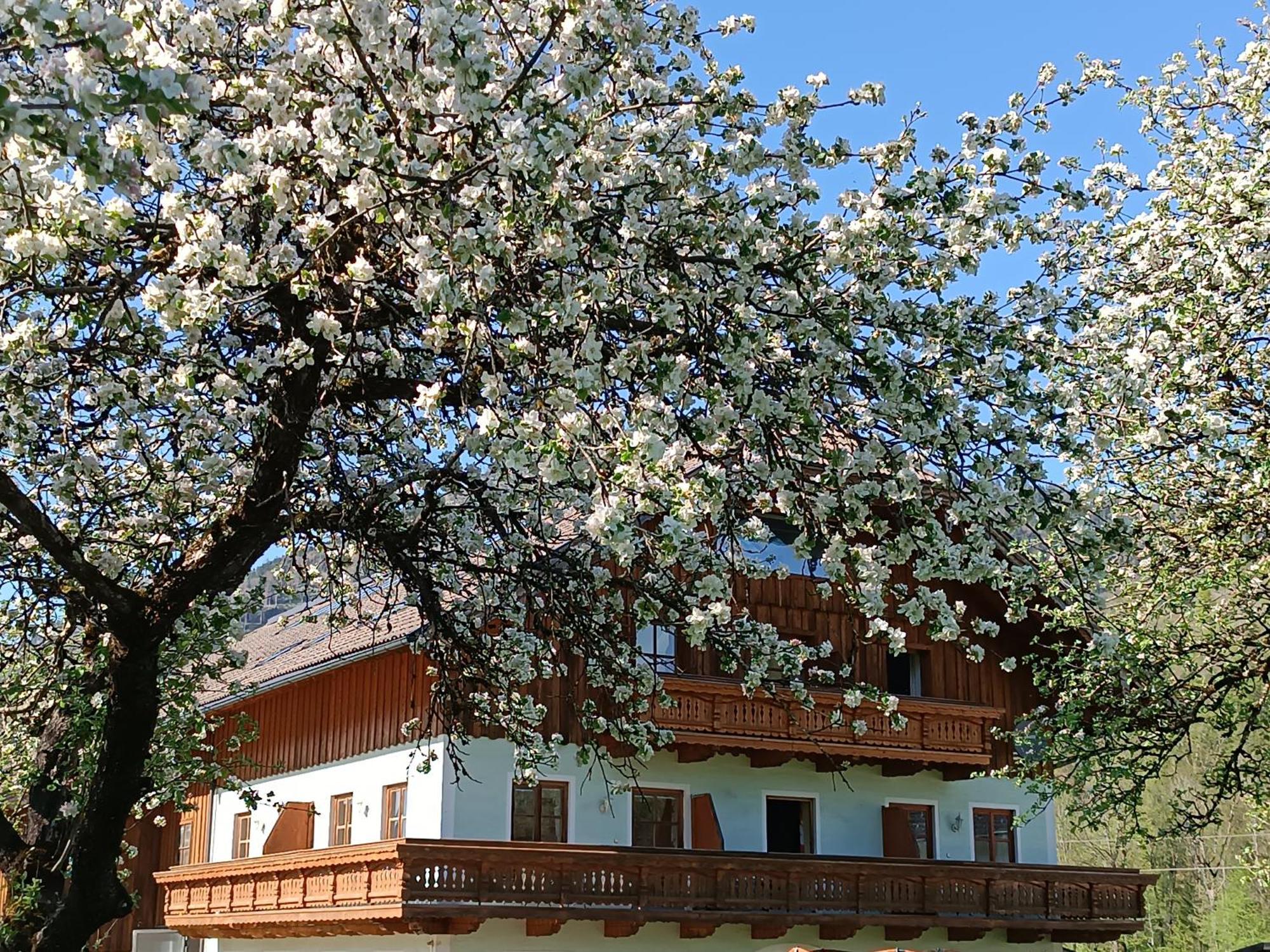 Hintererhof Apartamento Hintersee Exterior foto