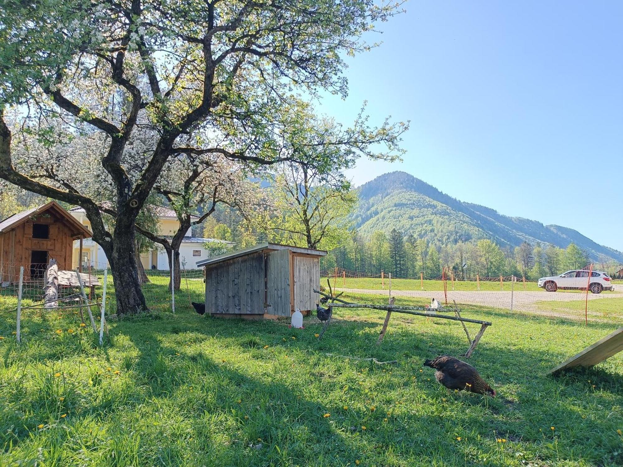 Hintererhof Apartamento Hintersee Exterior foto